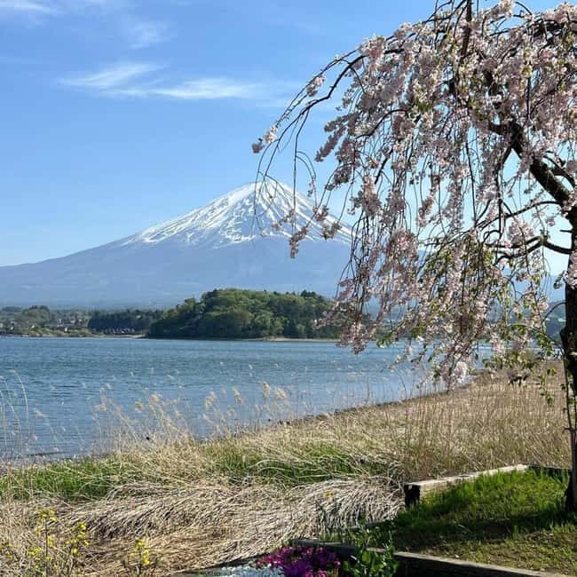 From Tokyo: Mt Fuji Private Day Tour In Luxury Land Cruiser - The Value for Money