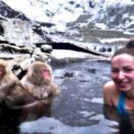 From Tokyo: Nagano Full Day Private Snow Monkey Park Tour - What Makes This Tour Stand Out?