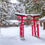 From Tokyo: Nagano, Monkeys, Zenkoji Temple Private Day Trip - An In-Depth Look at the Nagano Private Day Trip