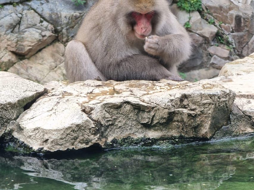 From Tokyo: Nagano Snow Monkey Park Tour With English Driver - Detailed Breakdown of the Itinerary
