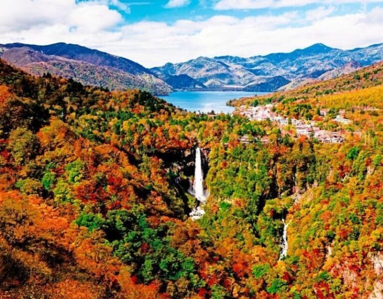 From Tokyo: Nikko private 1-day sightseeing Tour with Guide - Exploring Nikko’s Top Sights
