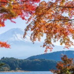 From Tokyo: Private Mt. Fuji and Hakone Tour by Car - Why This Tour Is a Great Choice