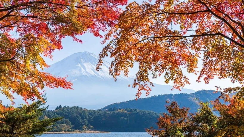 From Tokyo: Private Mt. Fuji and Hakone Tour by Car - Why This Tour Is a Great Choice