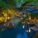 From Tokyo: Private Tour to Fuji/Hakone - Onsen, Art, Nature - Why the Tour Offers Great Value