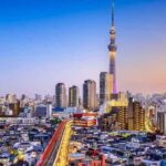 From Tokyo: Tokyo Private Customize Tour With English Driver - The Highlights of the Tour: What You Can Expect