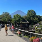 From Tokyo:Mount Fuji Private Customizable Tour With English - The Comfort of Private Transportation and Personalization