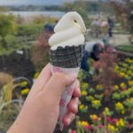 From Tokyo:Mount Fuji private day tour with English driver - Why Choose a Private, Guided Day Trip?