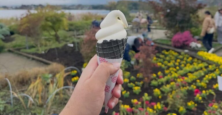 From Tokyo:Mount Fuji private day tour with English driver - Why Choose a Private, Guided Day Trip?