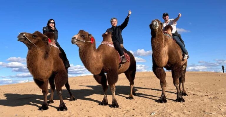 From Ulaanbaatar: Central Mongolia Guided 3-Day Tour - Breaking Down the Experience: What You Get for the Price