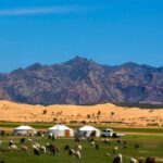 From Ulaanbaatar: Semi Gobi and Ancient Kharkhorin Tour - Exploring the Itinerary: What Will You Do?