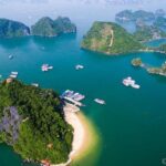From your cruise port to Ninh Binh 1 day with our driver - Final Thoughts: Who Is This Tour Best For?