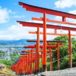 Fukuoka: Customized Private Tour with a Local guide - Who Is This Tour Best For?