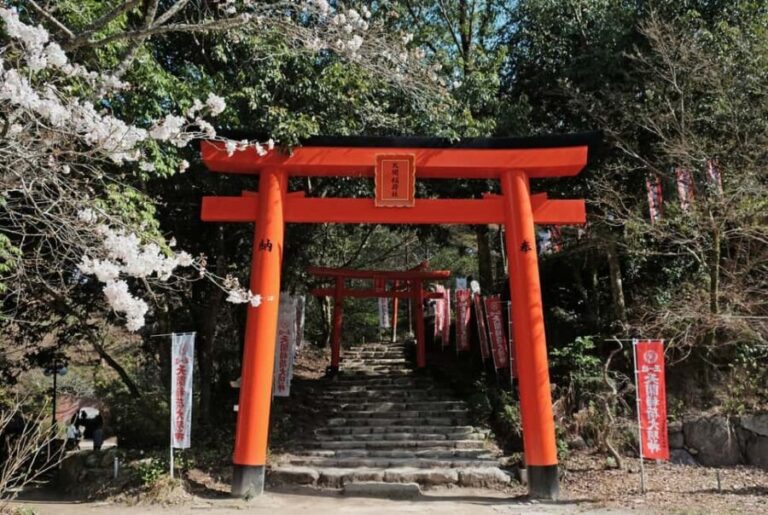 Fukuoka: Dazaifu Scholar-God Shrine & Imperial Ruins Tour - Who Would Love This Tour?