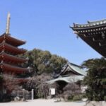 Fukuoka Private Custom Tour with Local Guide - Who Should Book This Tour?