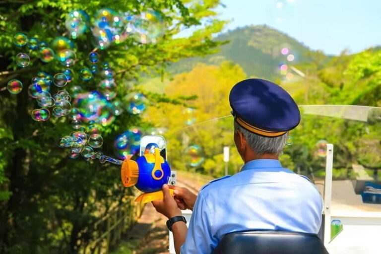 Fukuoka: Takachiho Gorge, Amano Iwato & Scenic Train Tour - Exploring the Day Trip from Fukuoka