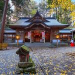 Fukuoka: Takachiho Gorge and Shrine Private Day Trip - Practical Details and Tips