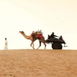 Full-Day Jaisalmer Desert Safari & City Tour with Camel Ride - How the Experience Comes Together