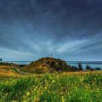 Full-Day Jeju Island UNESCO Tour for Cruise Layover Guests - How the Tour Works in Practice