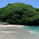 Full Day Nusa Penida Island Beach Tour From Bali - Who Is This Tour Best For?