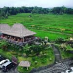 Full Day Private Water Temples Tour in Bali - Authentic Experiences and Hidden Insights from Reviews