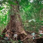 Full-Day Trekking and Sightseeing Tour in Mae Kampong - Who Will Love This Tour?