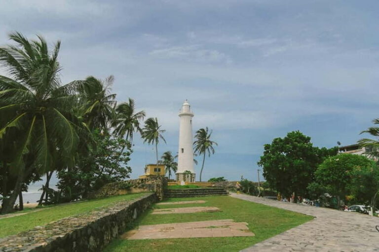Galle Private Day Tours with Sea Turtles visit & Boat Safari - The Value of This Tour
