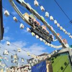 Gamcheon Culture Village, Jagalchi fish market story telling Tour - Transport and Timing: Why They Matter