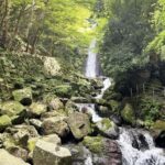 Gifu: Yrs Unforgettable Walkable Artwork - What to Expect During Your Visit