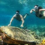 Gili Air : Private Snorkeling with 4 spots - Who Should Book This Tour?