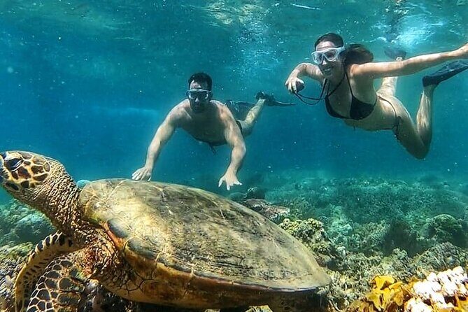 Gili Air : Private Snorkeling with 4 spots - Who Should Book This Tour?