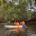 Goa: Backwater Kayaking Tour - What to Expect from the Goa Backwater Kayaking Tour