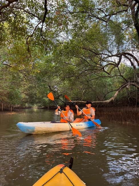 Goa: Backwater Kayaking Tour - What to Expect from the Goa Backwater Kayaking Tour