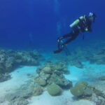 Goa: Grand Island Water Sports Combo Adventure - The Value of This Tour