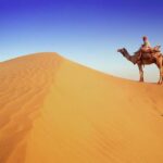 Golden City Of Rajasthan, Jaisalmer Desert Tour (02 Days) - Who Should Consider This Tour?