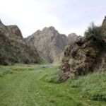 Great Gobi 7 Days Tented Tour - Who Is This Tour Perfect For?