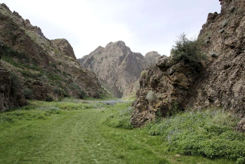 Great Gobi 7 Days Tented Tour - Who Is This Tour Perfect For?