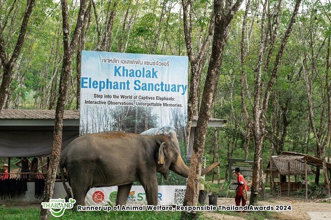 Guide Tour to Khaolak Elephant Sanctuary in Small Group - Who Will Love This Experience Most?
