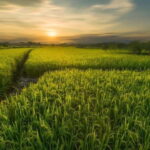 Guilin: Huixian Wetland Boat Ride & Glass Fields Tour - FAQ