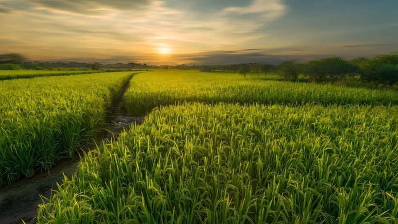 Guilin: Huixian Wetland Boat Ride & Glass Fields Tour - FAQ