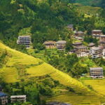 Guilin Longji: Rice Terrace with Oil-Tea Demo & Zhuang Lunch - Authentic Experiences Highlighted by Travelers