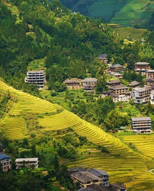Guilin Longji: Rice Terrace with Oil-Tea Demo & Zhuang Lunch - Authentic Experiences Highlighted by Travelers