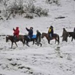 Gulmarg Day Trip: Horse Ride Through Scenic Landscapes - Practical Details and Tips