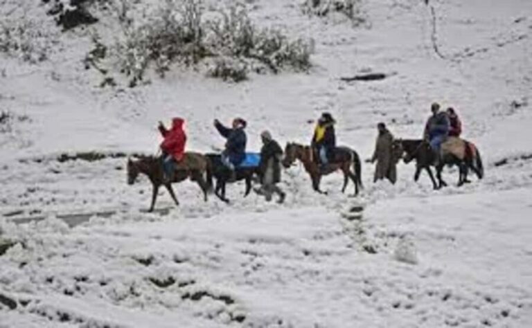 Gulmarg Day Trip: Horse Ride Through Scenic Landscapes - Practical Details and Tips