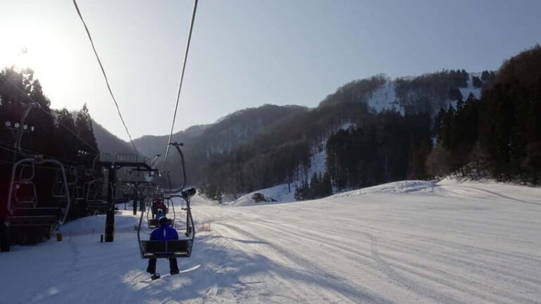 Gunma: Day Trip to Minakami Hodaigi Ski Resort from Shinjuku - Who Should Consider This Tour?