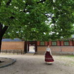 Gyeongbokgung Palace, Jogyesa Temple and Bukchon village - Walking Through Bukchon Village