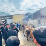 Ha Giang: Dong Van Market Fair Tour with Guide - Who Will Love This Tour?