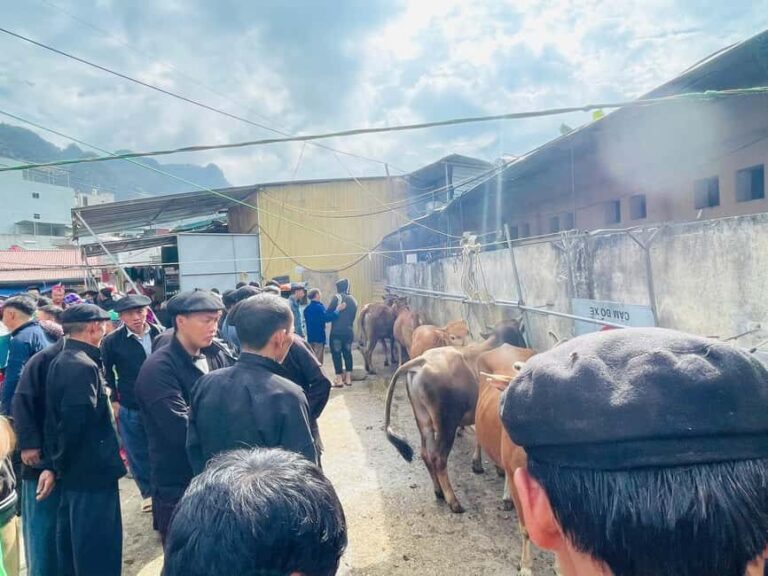 Ha Giang: Dong Van Market Fair Tour with Guide - Who Will Love This Tour?
