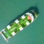 Ha Long 5 Star Cruise With 6-Hour Kayaking/Cave/Titop/Buffet - The Scenic Cruise and Lunch: A Feast with Views