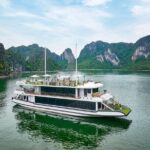 Ha Long Bay Luxury Day Cruise with Buffet Lunch, Caves & Kayaking - Dining and Additional Inclusions