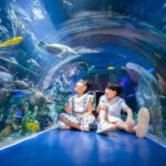 Ha Noi: VinKE and Vinpearl Aquarium Entry Ticket - Who Should Consider This Tour?
